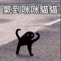 喵奴喵生